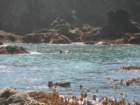 pointarena045_small.jpg