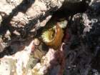 pointarena046_small.jpg