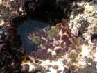 pointarena057_small.jpg
