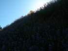 pointarena155_small.jpg