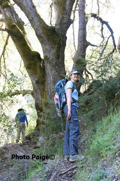 fallstrail.jpg