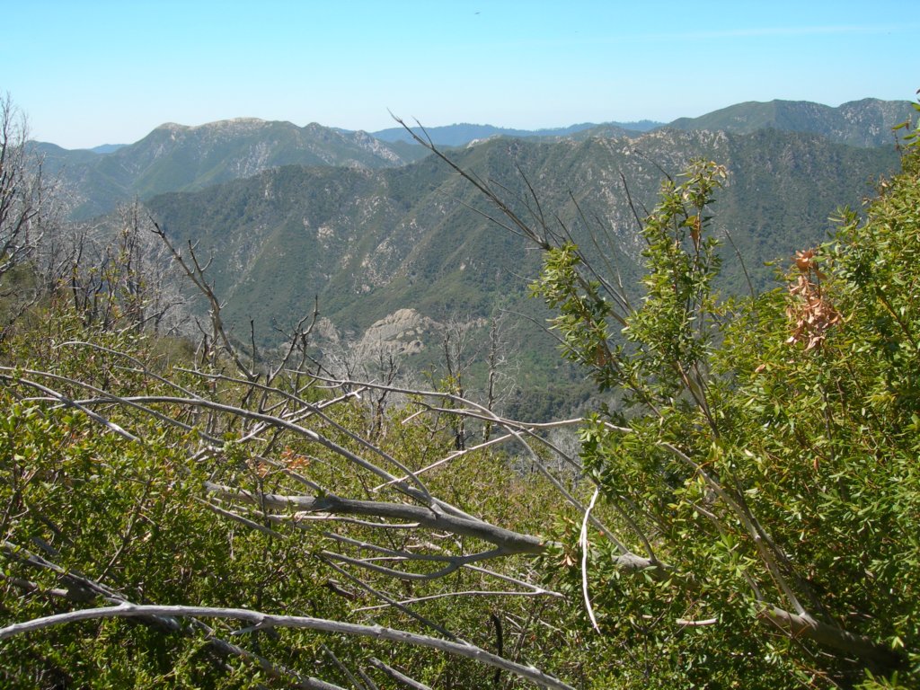 ventana011.jpg