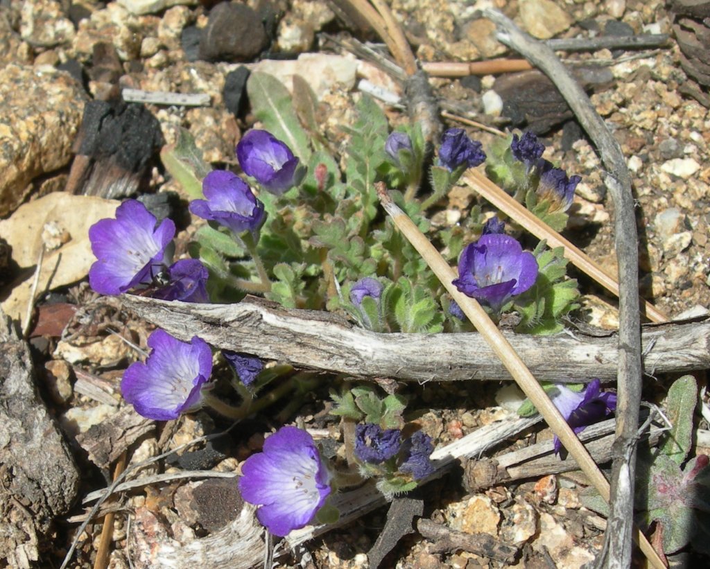 ventana013.jpg