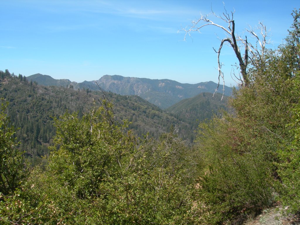 ventana028.jpg
