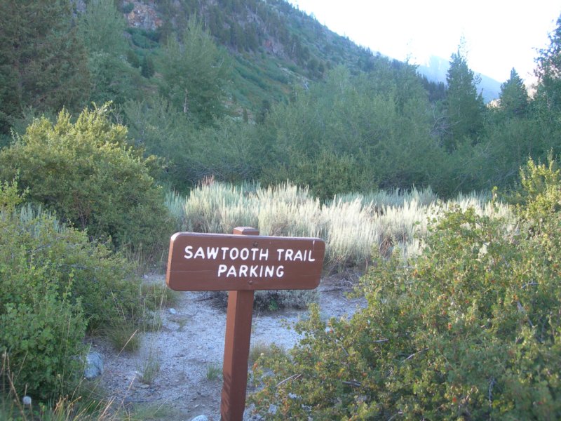 sequoianp003.jpg