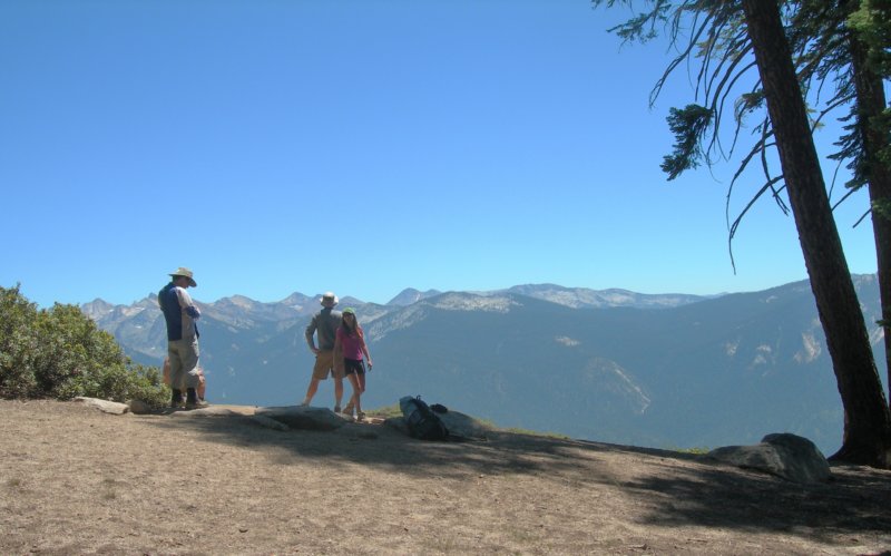 sequoianp021.jpg