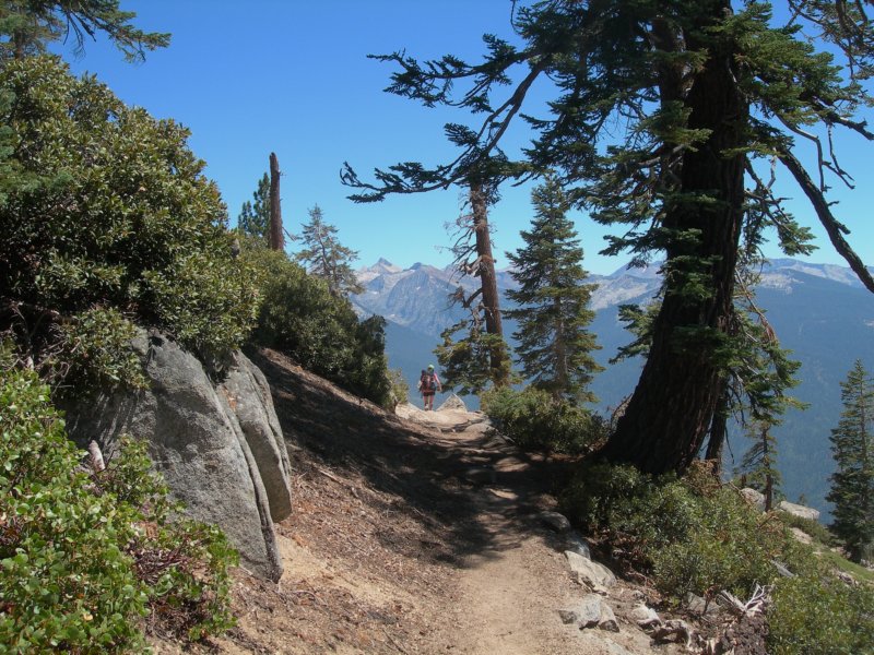 sequoianp031.jpg