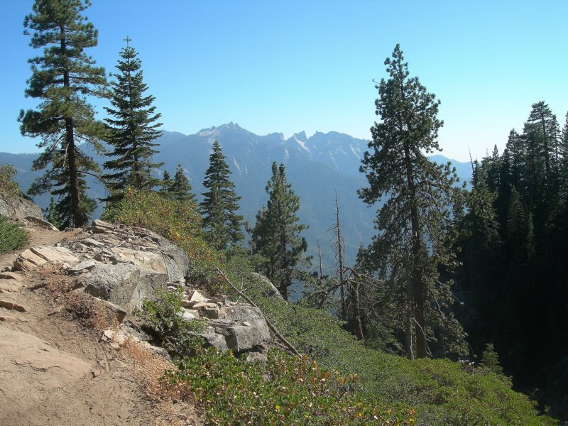 sequoianp059.jpg