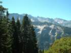 sequoianp083_small.jpg