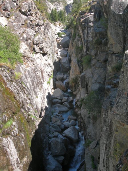 sequoianp111.jpg
