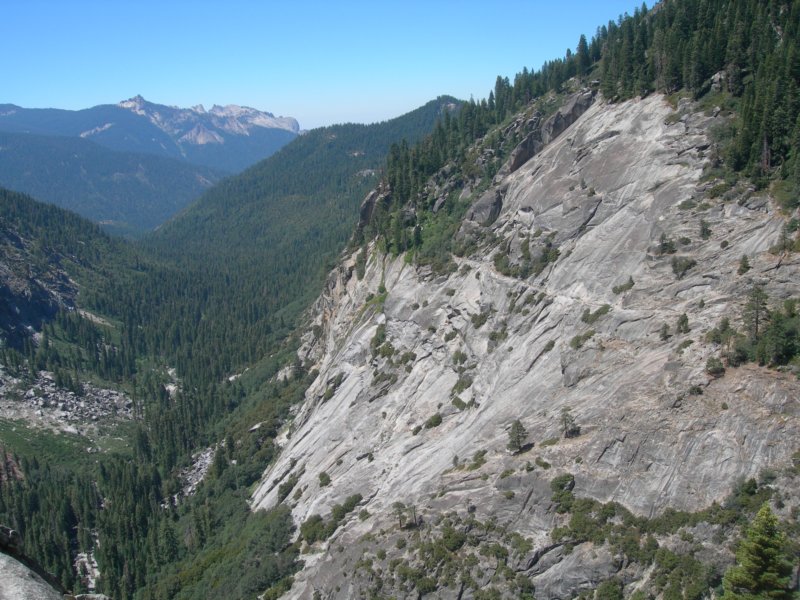 sequoianp124.jpg