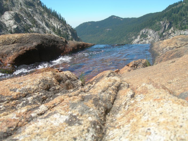 sequoianp128.jpg