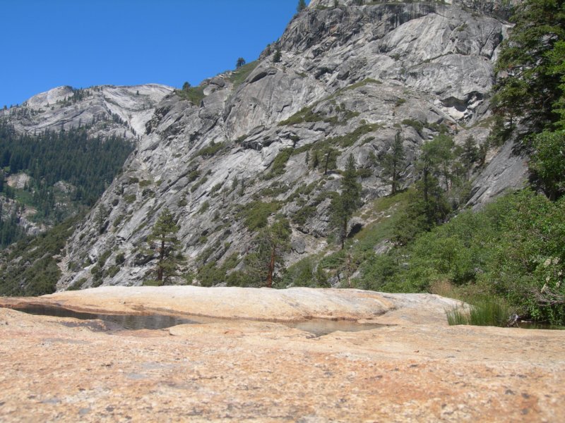 sequoianp129.jpg