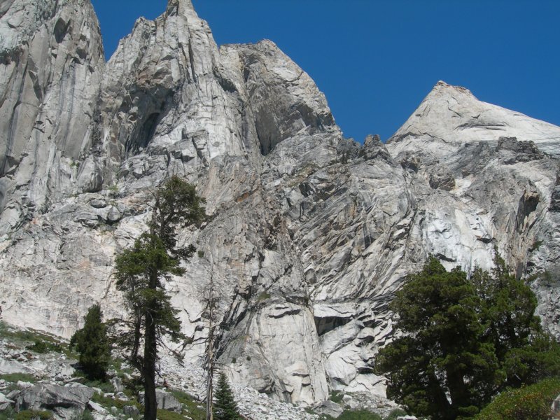 sequoianp136.jpg