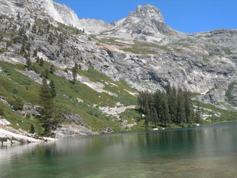 sequoianp145.jpg