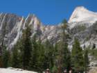 sequoianp146_small.jpg