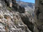 sequoianp188_small.jpg