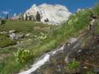sequoianp195_small.jpg