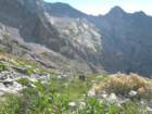 sequoianp205_small.jpg