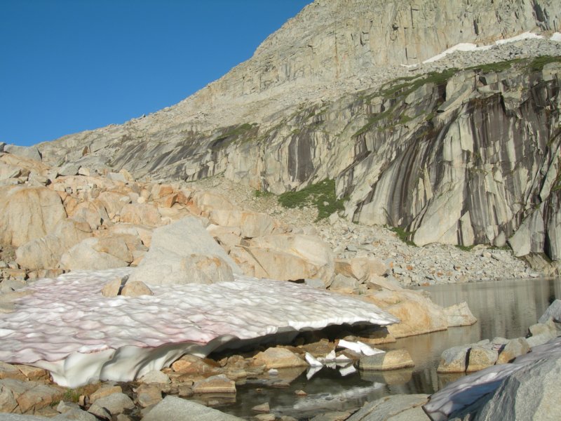 sequoianp216.jpg