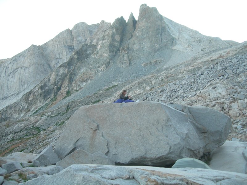 sequoianp243.jpg