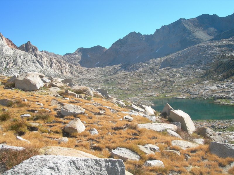 sequoianp273.jpg