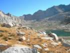 sequoianp273_small.jpg
