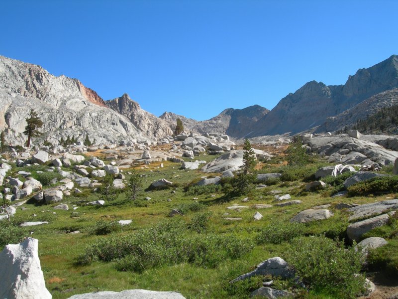 sequoianp277.jpg