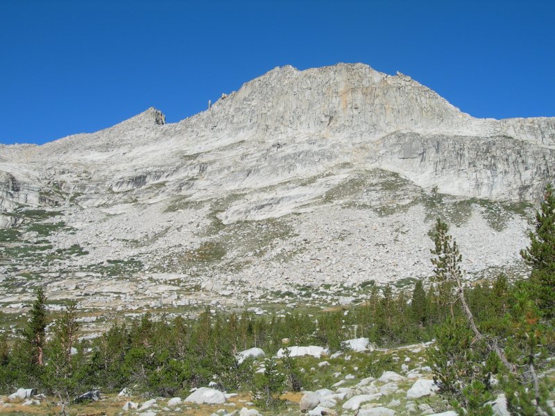 sequoianp281.jpg