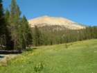 sequoianp314_small.jpg