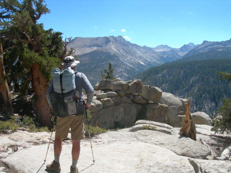 sequoianp320.jpg