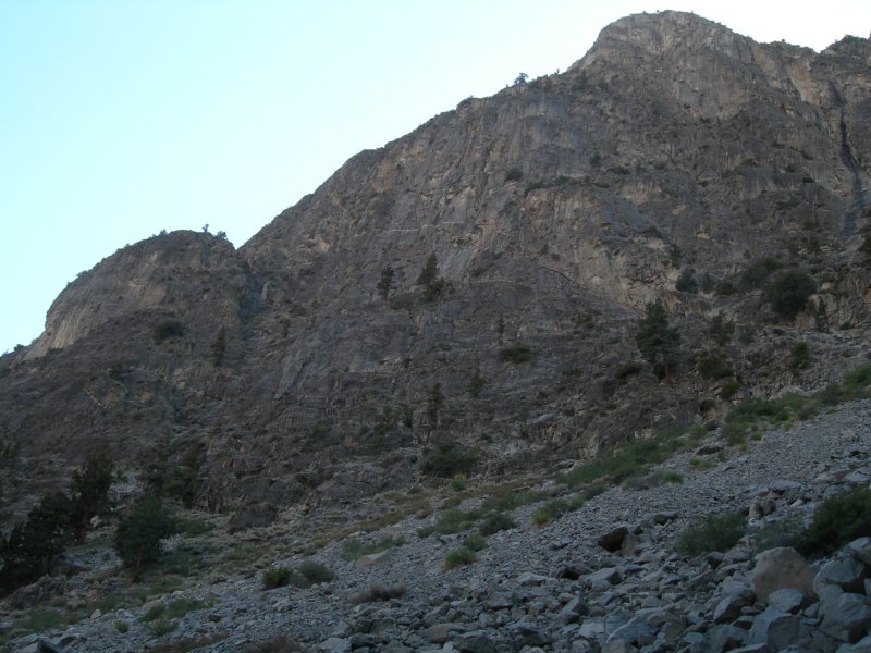 sequoianp385.jpg