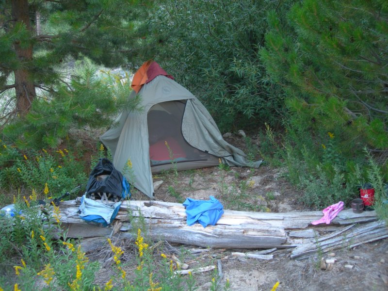sequoianp392.jpg