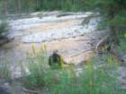 sequoianp393_small.jpg