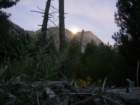 sequoianp406_small.jpg