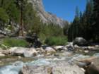 sequoianp424_small.jpg