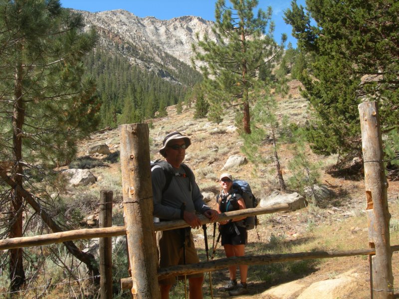 sequoianp460.jpg