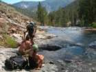 sequoianp461_small.jpg