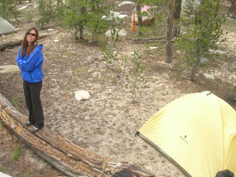 sequoianp494.jpg
