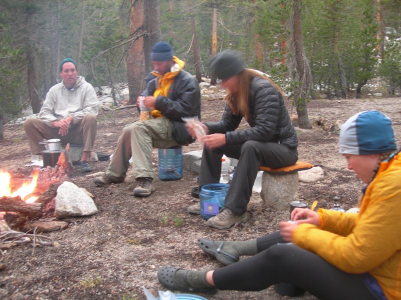 sequoianp511.jpg