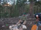 sequoianp513_small.jpg