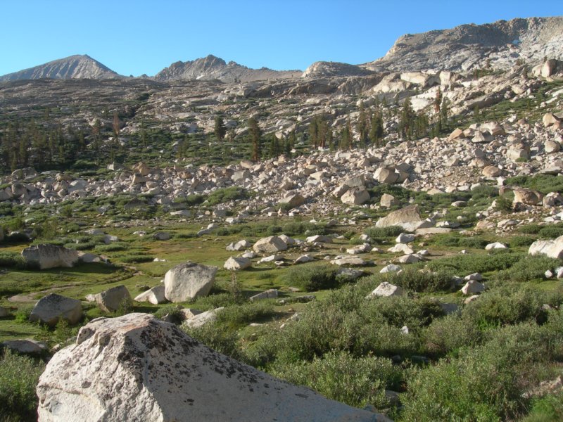 sequoianp522.jpg