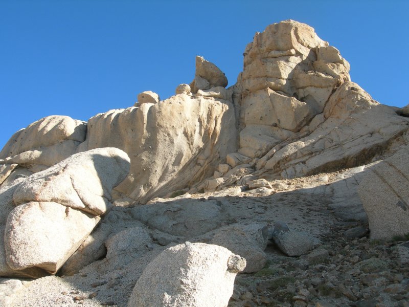sequoianp538.jpg