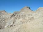 sequoianp541_small.jpg