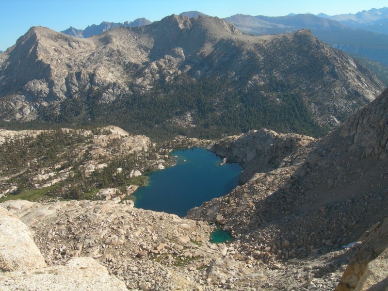 sequoianp545.jpg