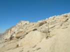 sequoianp549_small.jpg
