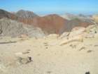 sequoianp550_small.jpg