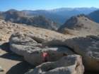sequoianp563_small.jpg