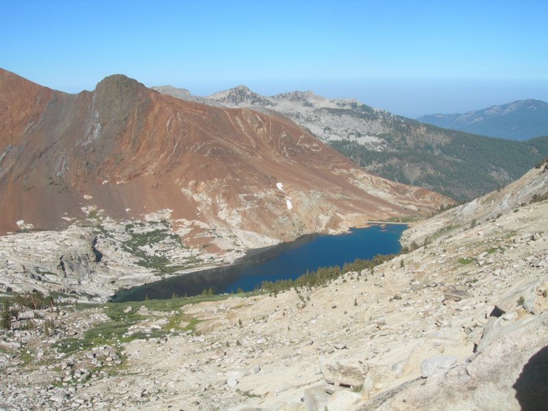 sequoianp568.jpg