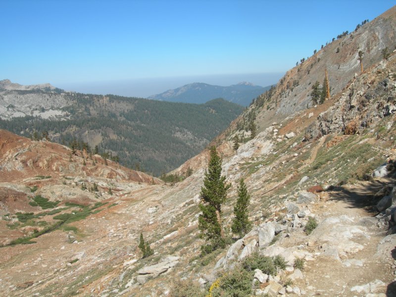 sequoianp591.jpg